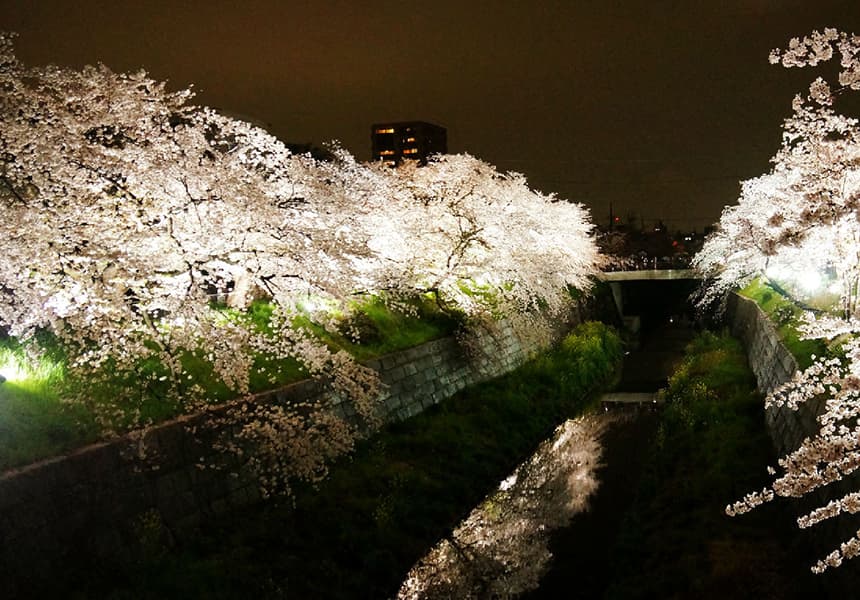 Four Seasons Road of Yamazaki River