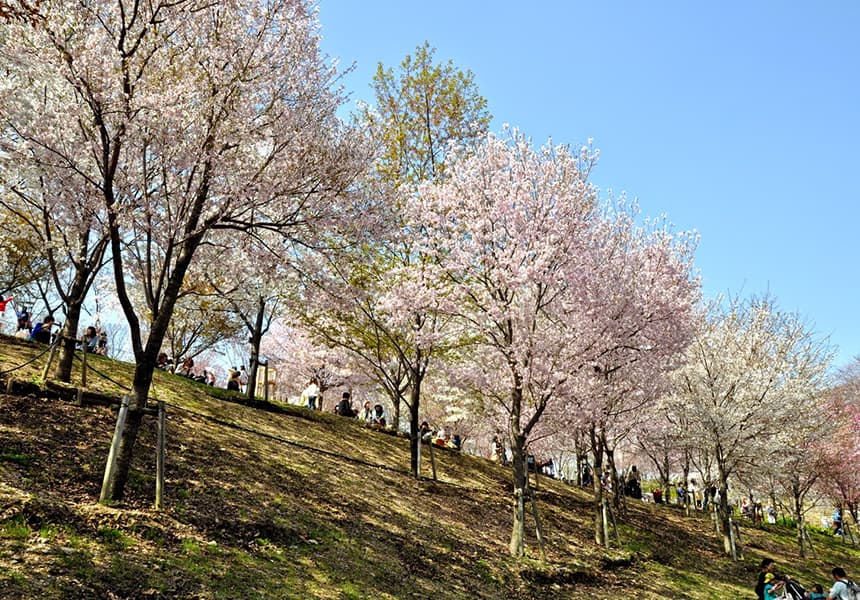 Higashiyama Zoo & Botanical Gardens