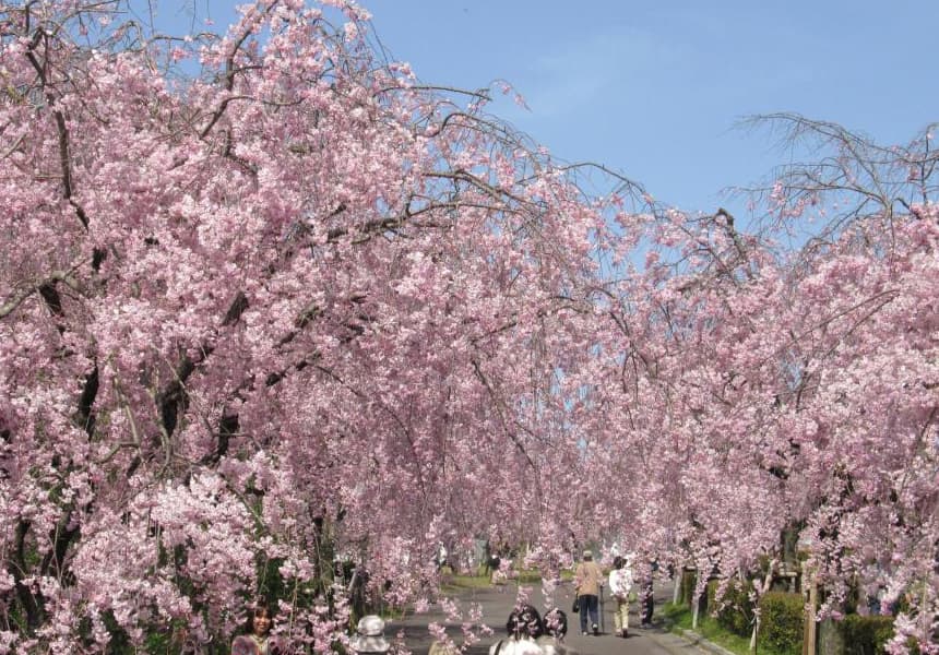 Togokusan Fruits Park