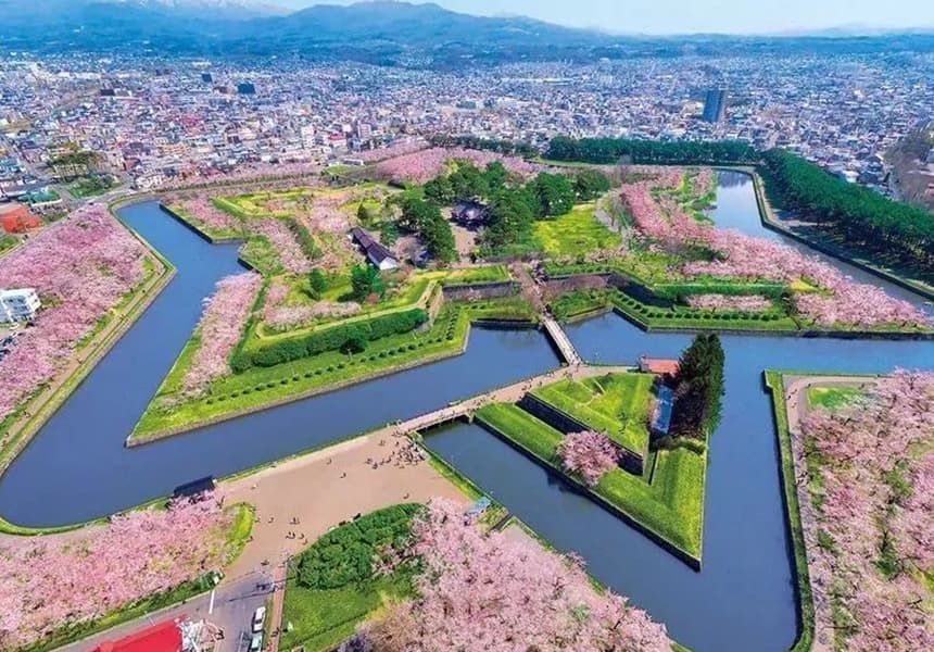 2024 Fort Goryokaku Cherry Blossom