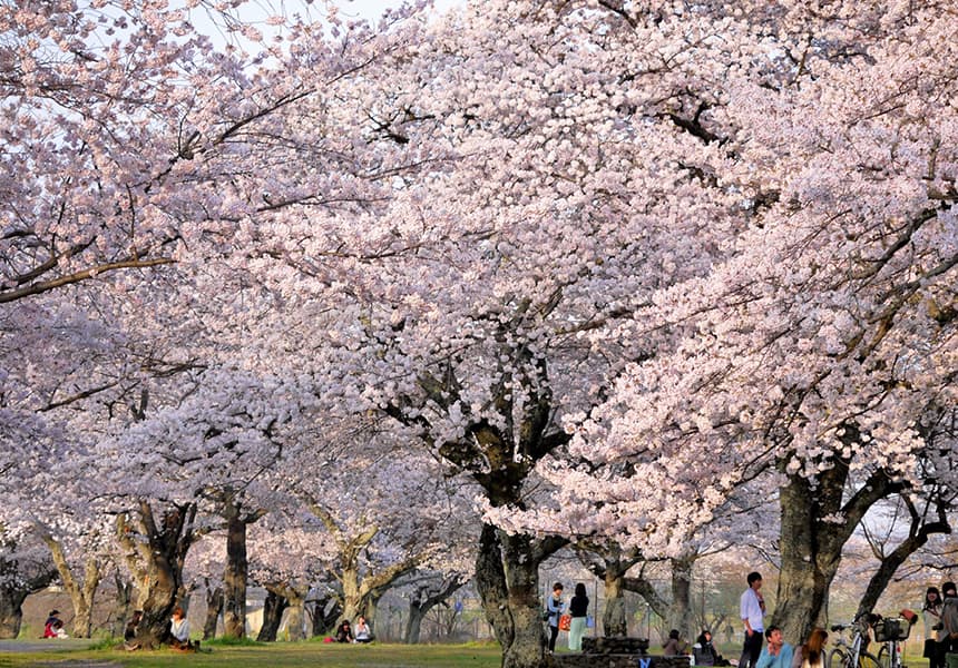 The Sagano-Arashiyama area