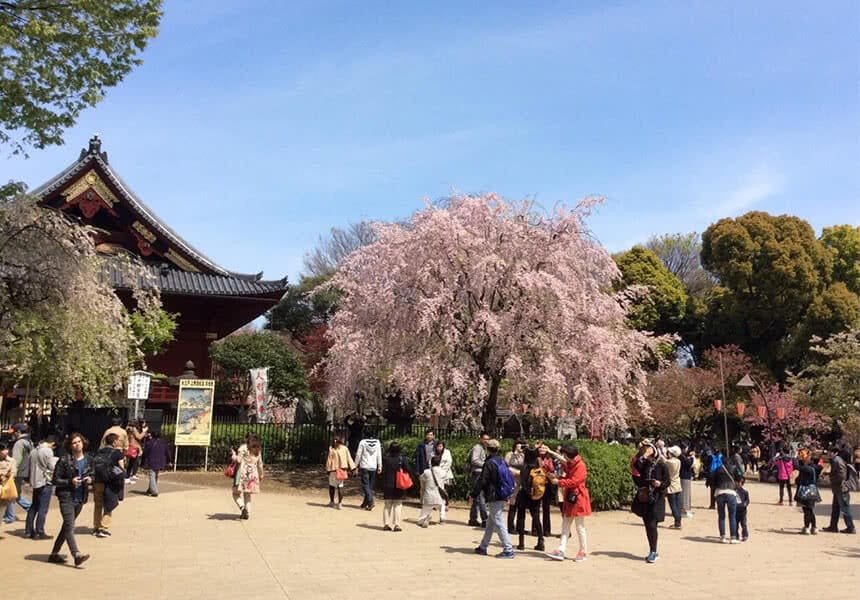 Ueno Park