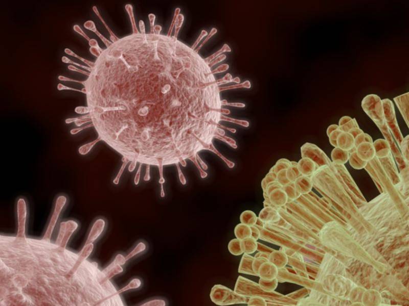 Novel Coronavirus: is it safe to view cherry blossoms in Japan and attend Tokyo Olympics?